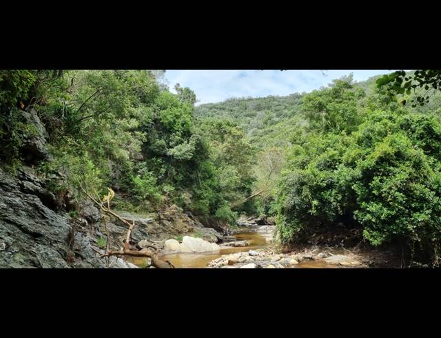 102HA FARM FOR SALE IN HANSMOESKRAAL AH